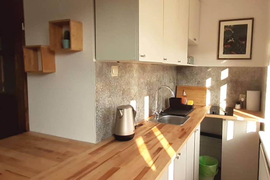 Lemuria Apartament Szkolna Centrum Legnica Esterno foto