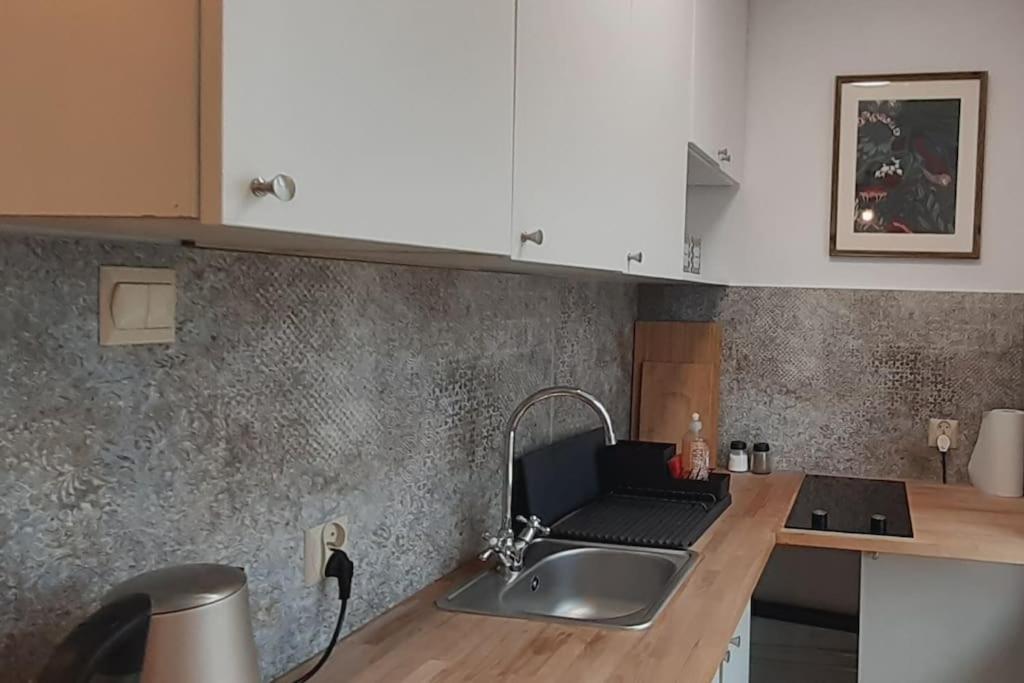 Lemuria Apartament Szkolna Centrum Legnica Esterno foto