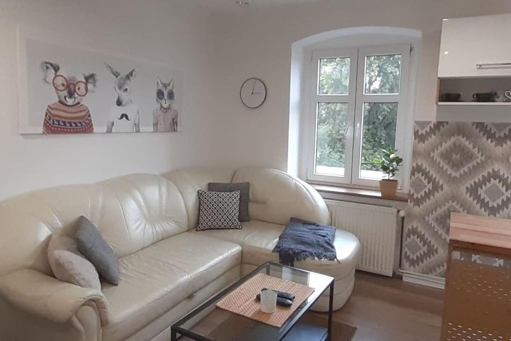 Lemuria Apartament Szkolna Centrum Legnica Esterno foto