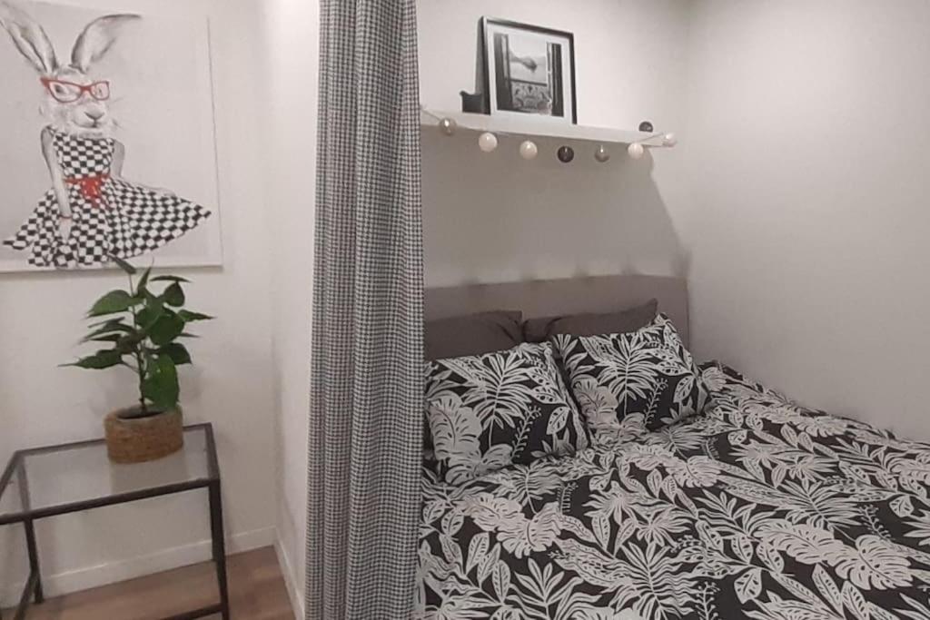 Lemuria Apartament Szkolna Centrum Legnica Esterno foto
