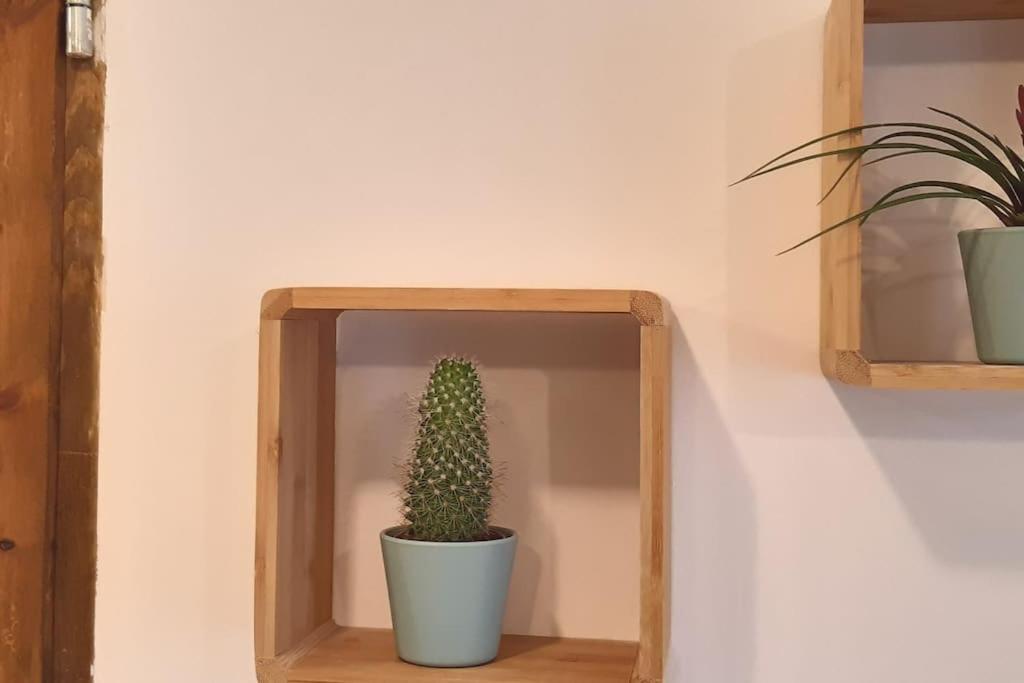 Lemuria Apartament Szkolna Centrum Legnica Esterno foto