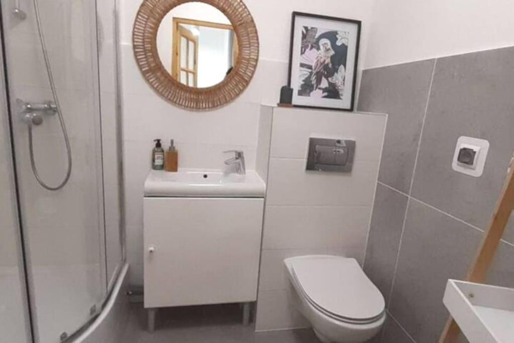 Lemuria Apartament Szkolna Centrum Legnica Esterno foto